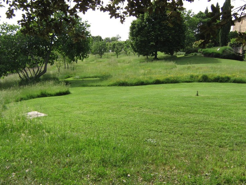 Italian lawn © Jonathan Radford