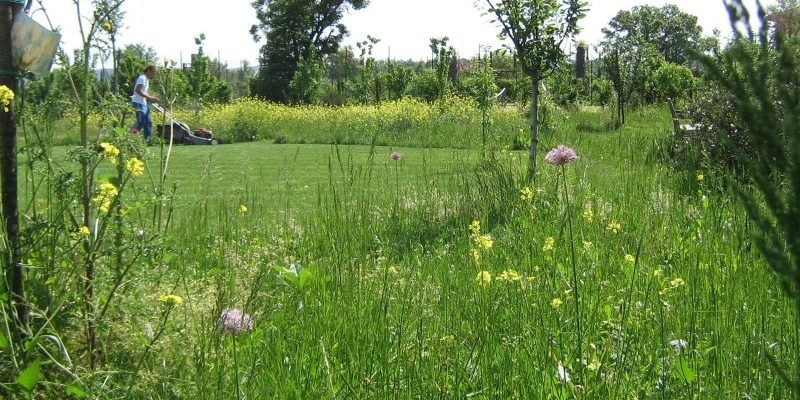 Organic Gardening in Italian Gardens